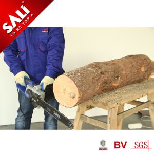 Xưởng cưa xích đặc biệt